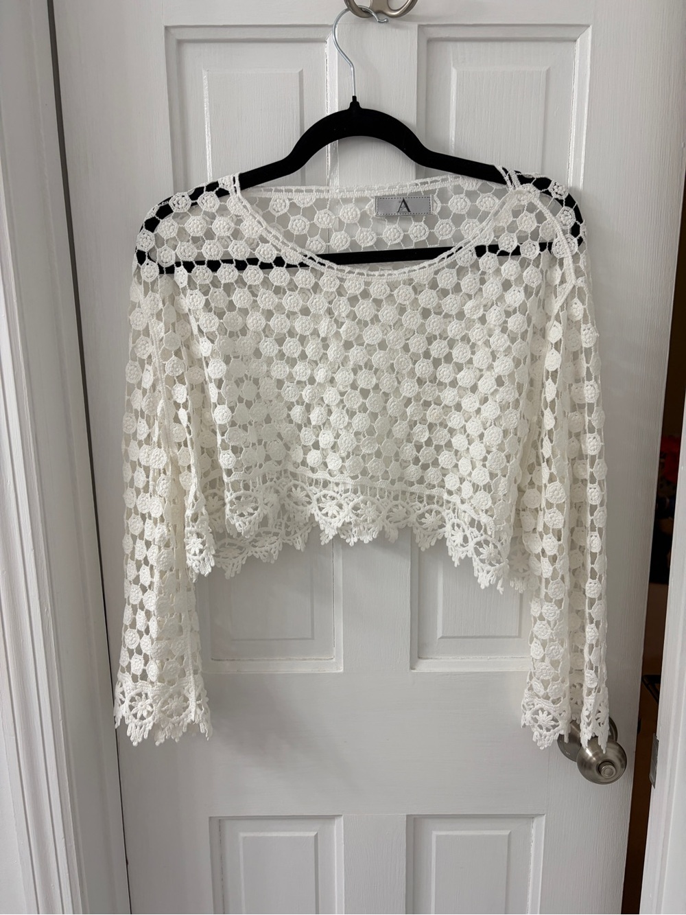 Crochet Lace Long-Sleeve Crop Top - White
